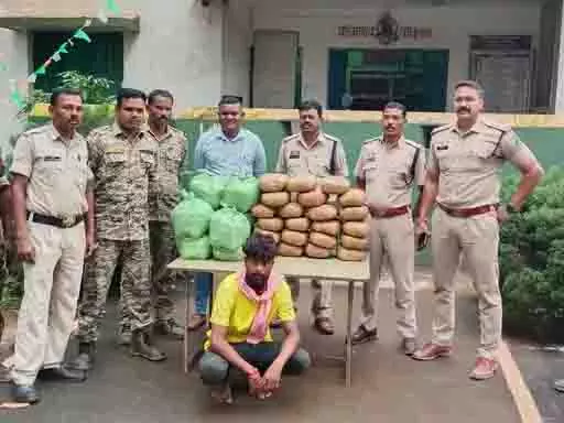 गांजा तस्करों पर पुलिस का शिकंजा, 56 KG जब्त गांजा तस्करों पर पुलिस का शिकंजा, 56 KG जब्त