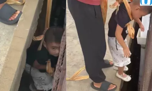 तीन साल की बच्ची ने बचाई पपी की जान वीडियो वायरल तीन साल की बच्ची ने बचाई पपी की जान वीडियो वायरल
