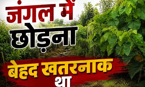 जंगल में नवजात बच्ची लावारिस हालत में मिली, पुलिस ने अस्पताल में कराया भर्ती