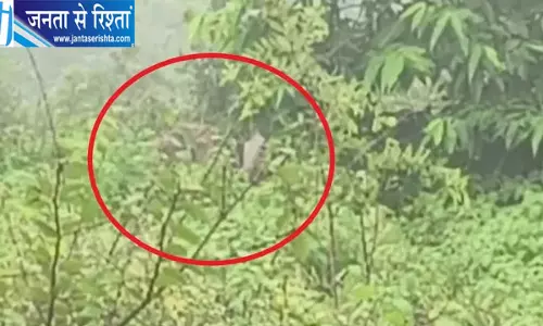 GPS से हाथियों की निगरानी कर रहा वन विभाग