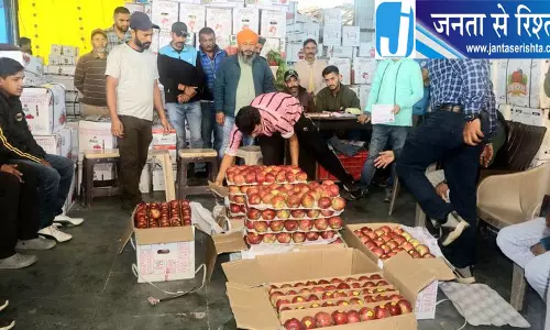 Shimla सेब उत्पादन घटा, दामों ने बढ़ाई बागवानों की चिंता