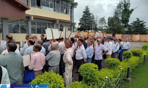 कांगड़ा में ड्रग तस्करी और अवैध कब्जों पर शिकंजा