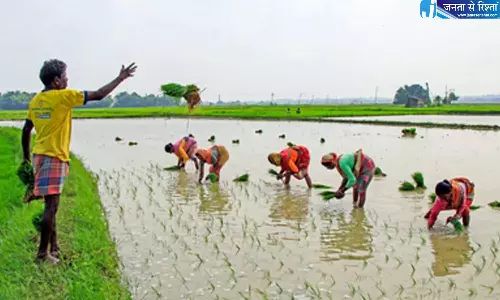 Andhra: गैर-ऋणी किसानों से प्रतिक्रिया दर्ज करें Andhra: गैर-ऋणी किसानों से प्रतिक्रिया दर्ज करें