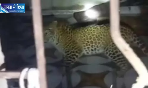 आधी रात घर में घुसा तेंदुआ, परिवार ने सूझबूझ से बाहर निकलकर बंद किया दरवाजा आधी रात घर में घुसा तेंदुआ, परिवार ने सूझबूझ से बाहर निकलकर बंद किया दरवाजा
