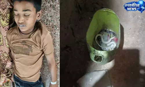 करैत सांप के डसने से 13 वर्षीय बच्चे की मौत करैत सांप के डसने से 13 वर्षीय बच्चे की मौत