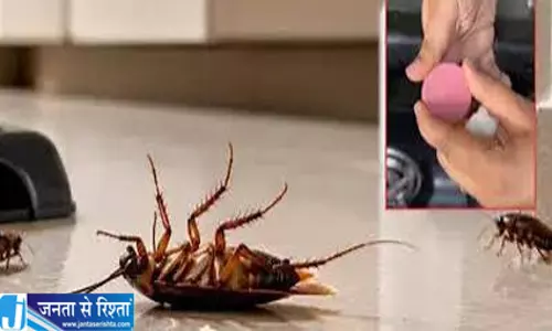किचन के कोनों में Vicks लगाने का ट्रेंड वायरल जानें क्या है वजह