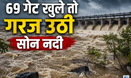 सोन में आया पानी का सैलाब एक साथ खोलने पड़े 69 गेट सोन में आया पानी का सैलाब एक साथ खोलने पड़े 69 गेट