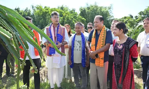 पीयूष हजारिका ने सिंचाई परियोजनाओं का लिया जायजा