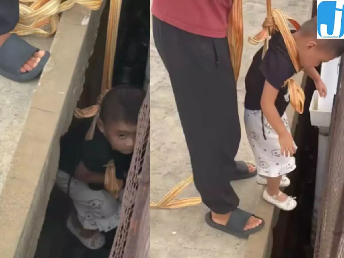 तीन साल की बच्ची ने बचाई पपी की जान वीडियो वायरल तीन साल की बच्ची ने बचाई पपी की जान वीडियो वायरल