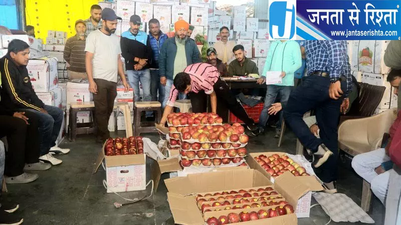 Shimla सेब उत्पादन घटा, दामों ने बढ़ाई बागवानों की चिंता Shimla सेब उत्पादन घटा, दामों ने बढ़ाई बागवानों की चिंता