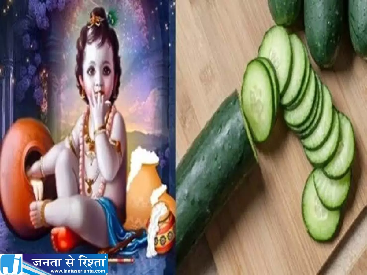 जन्माष्टमी पर खीरा रखने की क्यों है परंपरा जानें श्रीकृष्ण जन्म से इसका संबंध जन्माष्टमी पर खीरा रखने की क्यों है परंपरा जानें श्रीकृष्ण जन्म से इसका संबंध