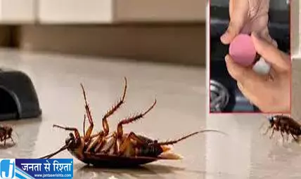 किचन के कोनों में Vicks लगाने का ट्रेंड वायरल जानें क्या है वजह किचन के कोनों में Vicks लगाने का ट्रेंड वायरल जानें क्या है वजह