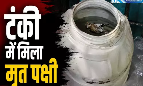 बदबूदार पानी से बन रहा था मिड डे मील टंकी में मिला मरा पक्षी बदबूदार पानी से बन रहा था मिड डे मील टंकी में मिला मरा पक्षी