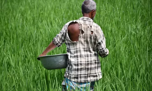 फार्मर आईडी बिना मुश्किल में किसान फार्मर आईडी बिना मुश्किल में किसान
