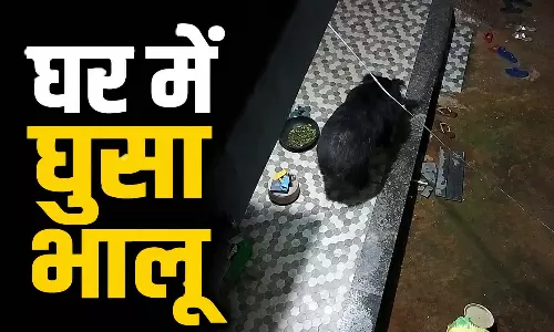 घर में घुसा भालू, फिर...चौंका देगा ये VIDEO घर में घुसा भालू, फिर...चौंका देगा ये VIDEO