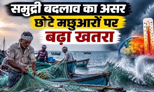 समुद्री बदलाव का असर छोटे मछुआरों पर बढ़ा खतरा समुद्री बदलाव का असर छोटे मछुआरों पर बढ़ा खतरा