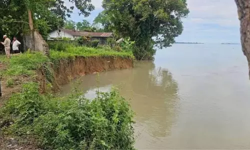 असम: ब्रह्मपुत्र के कटाव से तिनसुकिया के दो बड़े चाय बागानों पर खतरा