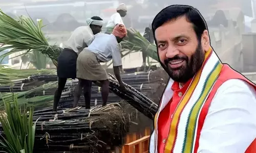 गन्ना किसानों के लिए हरियाणा सरकार की नई योजना