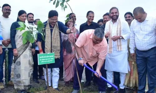 गृह निर्माण मंडल की आवासीय योजनाओं में चलेगा ‘एक पेड़ माँ के नाम’ अभियान गृह निर्माण मंडल की आवासीय योजनाओं में चलेगा ‘एक पेड़ माँ के नाम’ अभियान