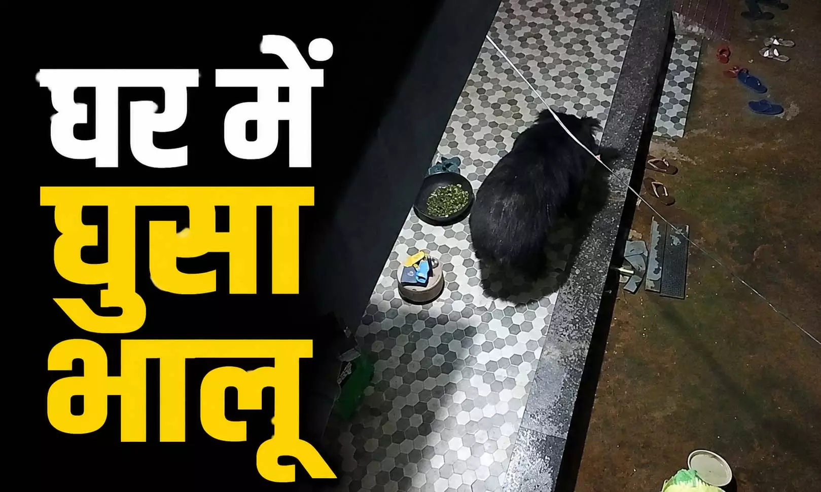 घर में घुसा भालू, फिर...चौंका देगा ये VIDEO घर में घुसा भालू, फिर...चौंका देगा ये VIDEO