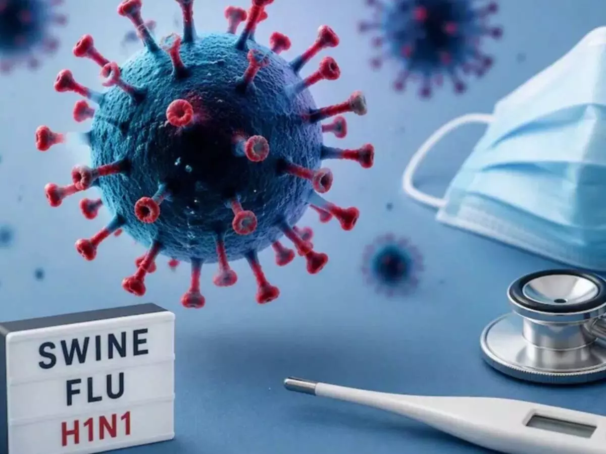 छत्तीसगढ़: Swine Flu और Corona की दोहरी मार! सरकार बोली- पैनिक होने की जरूरत नहीं है छत्तीसगढ़: Swine Flu और Corona की दोहरी मार! सरकार बोली- पैनिक होने की जरूरत नहीं है