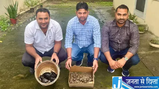 कछुआ तस्करी का खुलासा बाइक सवार फरार कछुआ तस्करी का खुलासा बाइक सवार फरार