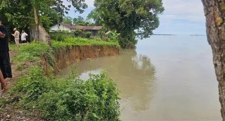 असम: ब्रह्मपुत्र के कटाव से तिनसुकिया के दो बड़े चाय बागानों पर खतरा असम: ब्रह्मपुत्र के कटाव से तिनसुकिया के दो बड़े चाय बागानों पर खतरा