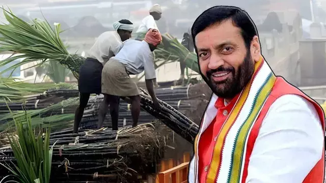 गन्ना किसानों के लिए हरियाणा सरकार की नई योजना गन्ना किसानों के लिए हरियाणा सरकार की नई योजना