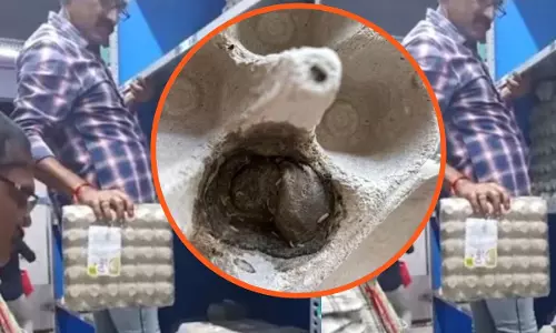 ब्लिंकिट आउटलेट पर स्वास्थ्य विभाग का छापा ब्लिंकिट आउटलेट पर स्वास्थ्य विभाग का छापा