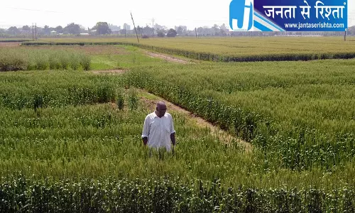 एग्रीस्टैक में नूंह की धीमी रफ्तार एग्रीस्टैक में नूंह की धीमी रफ्तार