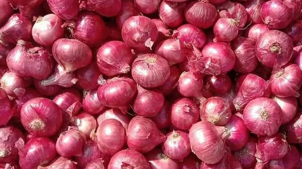 महंगाई पर नकेल: केरल में ₹35 प्रति किलो बिकेगा प्याज महंगाई पर नकेल: केरल में ₹35 प्रति किलो बिकेगा प्याज