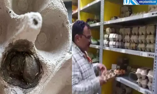 ब्लिंकिट से मंगाए अंडों में मिले कीड़े मंगलुरु में स्वास्थ्य विभाग की कार्रवाई ब्लिंकिट से मंगाए अंडों में मिले कीड़े मंगलुरु में स्वास्थ्य विभाग की कार्रवाई