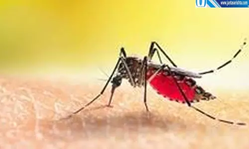 अंधविश्वास पड़ा भारी इलाज में देरी से दो भाइयों की गई जान