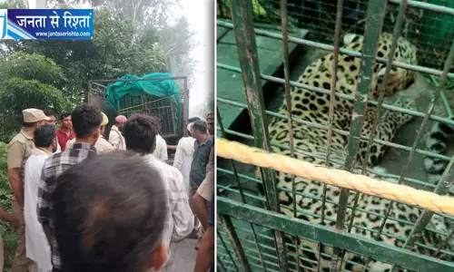 सहसपुरी में ट्रैप केज में फंसा 12वां तेंदुआ, वन विभाग ने सुरक्षित पकड़ा सहसपुरी में ट्रैप केज में फंसा 12वां तेंदुआ, वन विभाग ने सुरक्षित पकड़ा