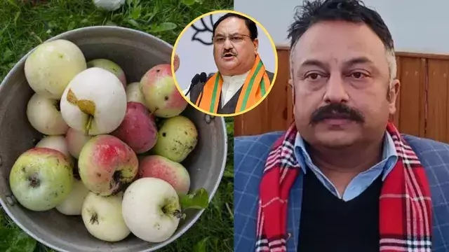 Shimla: सेब उत्पादकों की जरूरत को लेकर केंद्र के सामने उठा कैन उर्वरक मुद्दा