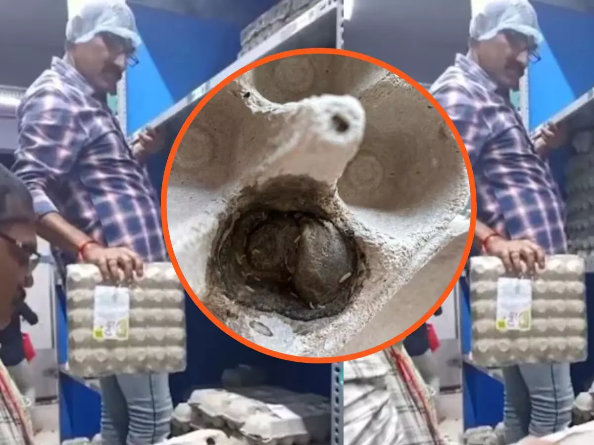 ब्लिंकिट आउटलेट पर स्वास्थ्य विभाग का छापा ब्लिंकिट आउटलेट पर स्वास्थ्य विभाग का छापा