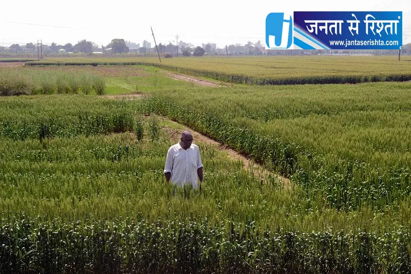 एग्रीस्टैक में नूंह की धीमी रफ्तार एग्रीस्टैक में नूंह की धीमी रफ्तार