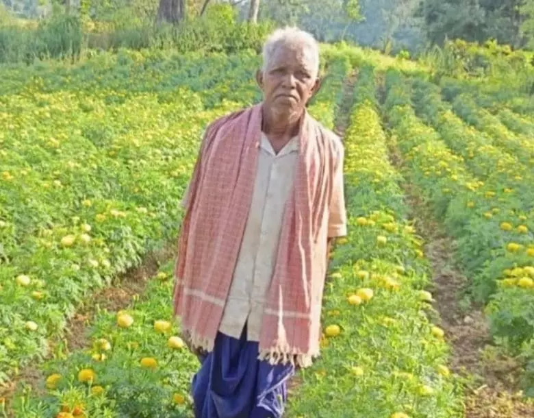 धान से गेंदा की खेती की ओर बढ़े, कमाया 3.96 लाख धान से गेंदा की खेती की ओर बढ़े, कमाया 3.96 लाख