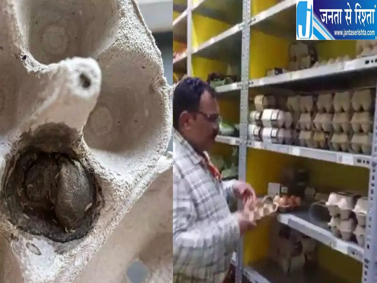 ब्लिंकिट से मंगाए अंडों में मिले कीड़े मंगलुरु में स्वास्थ्य विभाग की कार्रवाई ब्लिंकिट से मंगाए अंडों में मिले कीड़े मंगलुरु में स्वास्थ्य विभाग की कार्रवाई