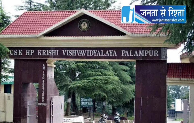 Himachal HC का बड़ा फैसला: क्या अब सुलझेगा कुलपतियों की नियुक्ति का विवाद? Himachal HC का बड़ा फैसला: क्या अब सुलझेगा कुलपतियों की नियुक्ति का विवाद?