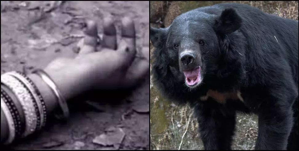 Gopeshwar: भालू के हमले का कहर, एक महिला की मौत और दूसरा गंभीर घायल Gopeshwar: भालू के हमले का कहर, एक महिला की मौत और दूसरा गंभीर घायल