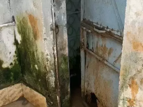 स्कूल में मिड डे मील पर सवाल 5 महीने से बच्चों को मिल रही आलू भिंडी स्कूल में मिड डे मील पर सवाल 5 महीने से बच्चों को मिल रही आलू भिंडी