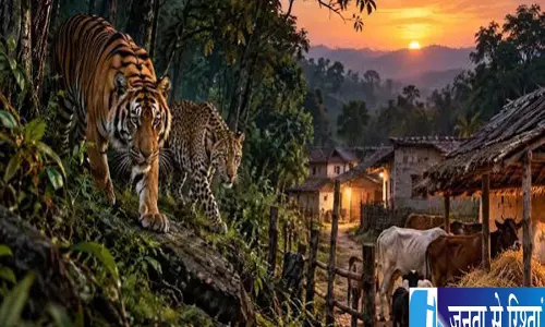 जंगल किनारे 38 ठिकानों पर वन्यजीवों की दावत ग्रामीणों पर मंडराया खतरा