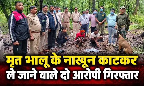 मृत भालू के नाखून काटकर ले जाने वाले आरोपी गिरफ्तार, डॉग स्क्वॉड की मदद से मिला सुराग मृत भालू के नाखून काटकर ले जाने वाले आरोपी गिरफ्तार, डॉग स्क्वॉड की मदद से मिला सुराग