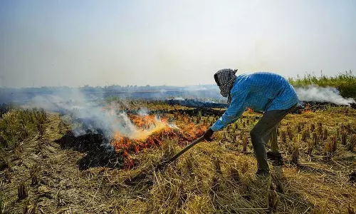 Delhi-NCR प्रदूषण: अब पराली जलाने की गिनती के साथ तीव्रता भी मापी जाएगी
