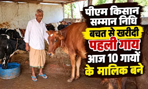 पीएम किसान सम्मान निधि की बचत से खरीदी पहली गाय, आज 10 गायों के साथ आत्मनिर्भर बने 75 साल के बुजुर्ग