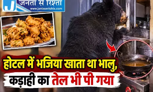 होटल में भजिया खाता था भालू, कड़ाही का तेल भी पी गया