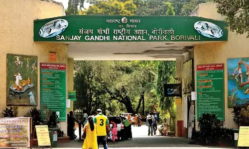 Mumbai: संजय गांधी नेशनल पार्क में पुनर्वास का पहला चरण, 4 हजार लोग होंगे शिफ्ट