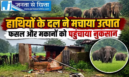 हाथियों के दल ने मचाया उत्पात फसल और मकानों को पहुंचाया नुकसान