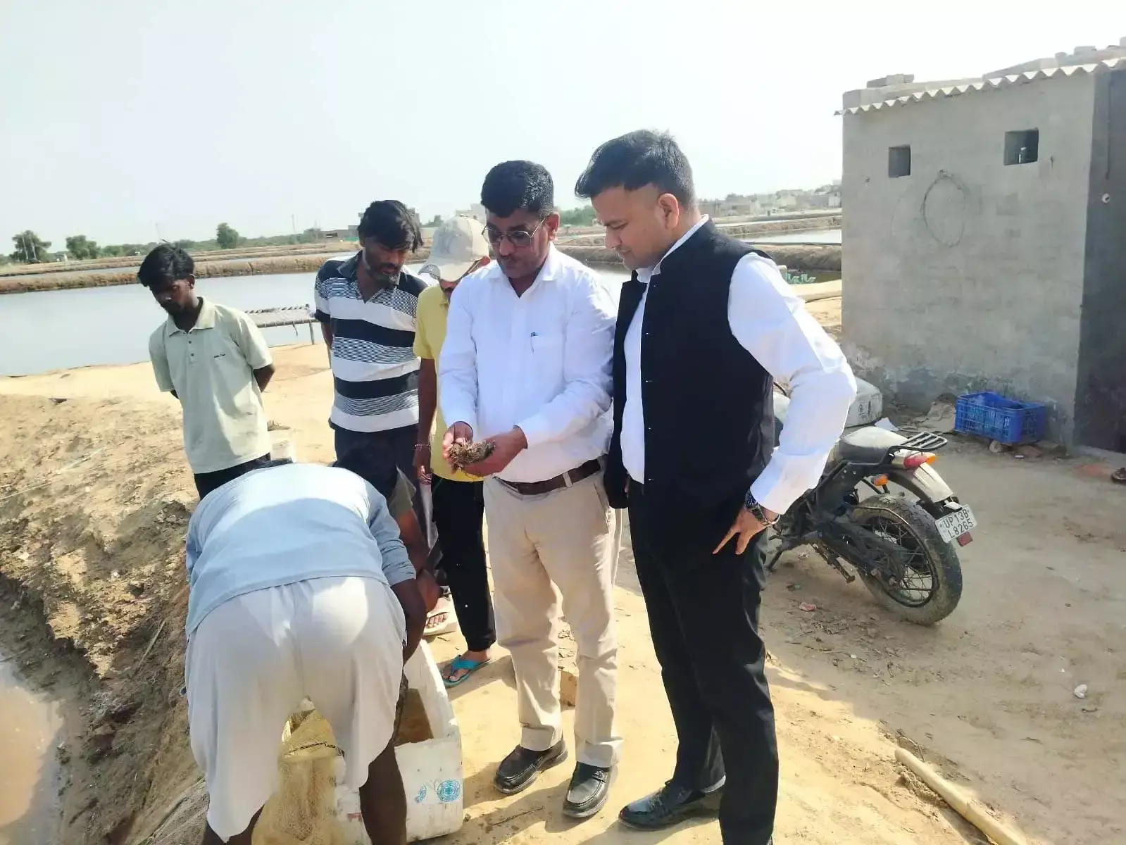 Sirsa: सिरसा बन रहा झींगा उत्पादन का सिरमौर, बिहार की टीम ने लिया प्रशिक्षण Sirsa: सिरसा बन रहा झींगा उत्पादन का सिरमौर, बिहार की टीम ने लिया प्रशिक्षण